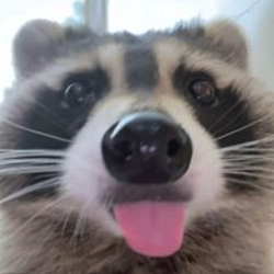 BANDIT