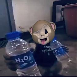 H2O