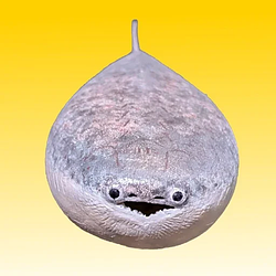 SACABAMBASPIS