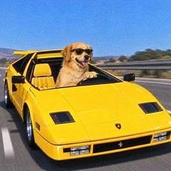 lambo