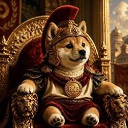 BABYDOGEUS / BNB