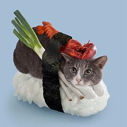 SUSHICAT