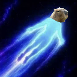 CapyAccy