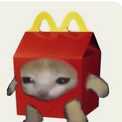 meal