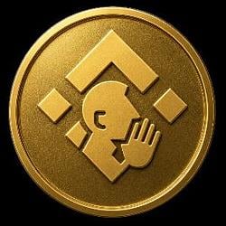 喊单币 / BNB