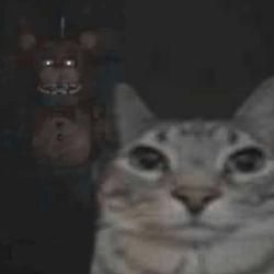 freddy