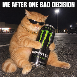 LITCAT
