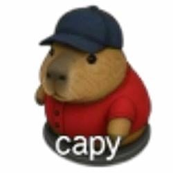 CAPYBARA / SOL