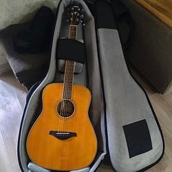GUITAR / SOL
