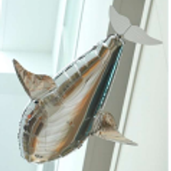 CUDDLEFISH / SOL