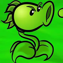 PEA / SOL