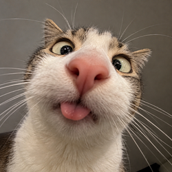 $WRONGCAT
