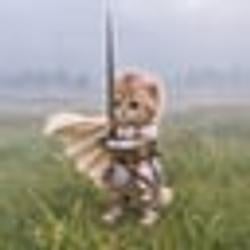 knightcat