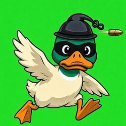 ZDUCK