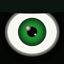 BLINK / USDC