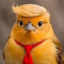 trmpbird