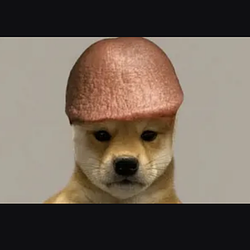 Dik