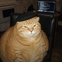 CHONK