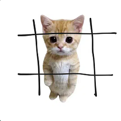 #CAT