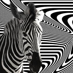ZEE