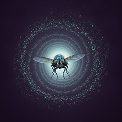 FLYHOLEX / WETH
