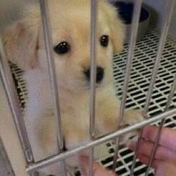 JAIL