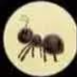 ANThropic