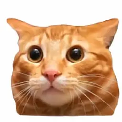 HIhi