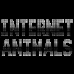 Animals / SOL