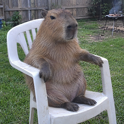 CHAIRBARA / SOL