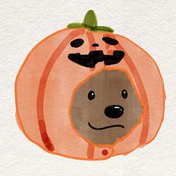 pumpkinu