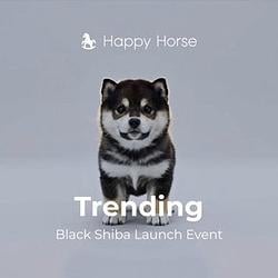 Black Shiba