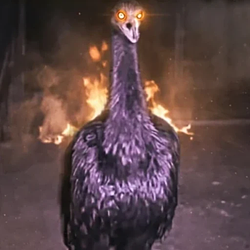 Allahu Akbar / SOL
