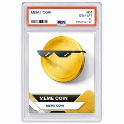 PSA10 / SOL