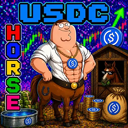 USDC / USDC