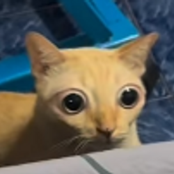 LUCKLAY