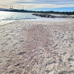beach / SOL