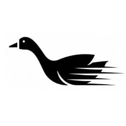Goose