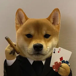 CASINU / SOL