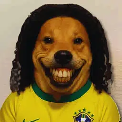 ronaldinu