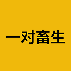 两个分流狗 / BNB