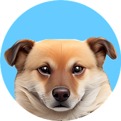 DOGK