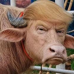 Donald