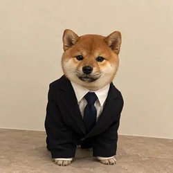 WSI