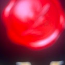 INU