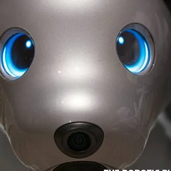 AIBO