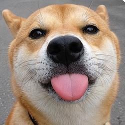 WUF / SOL