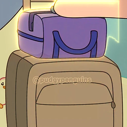 PUDGY / SOL