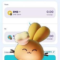 阿饼 / BNB