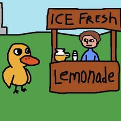 DUCK